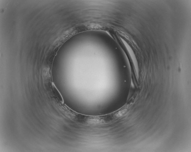 X0000060790521200511241848