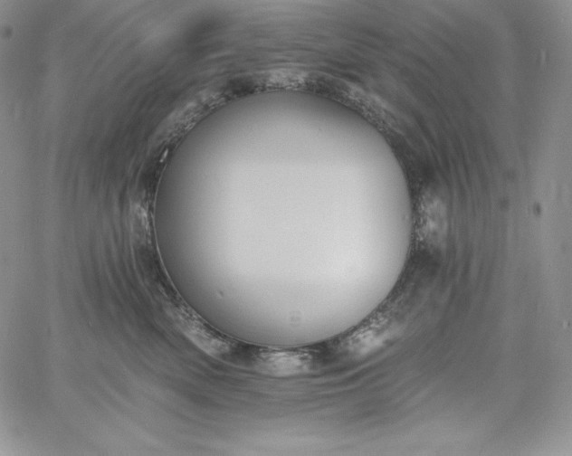 X0000060790522200511241848