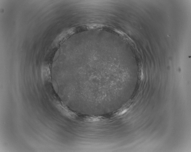 X0000060790523200511241848