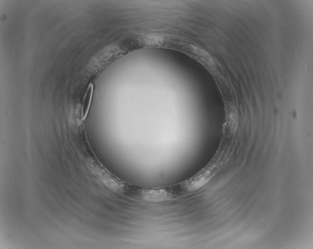 X0000060790525200511241848