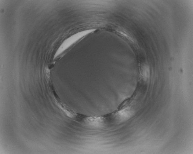 X0000060790526200511241848