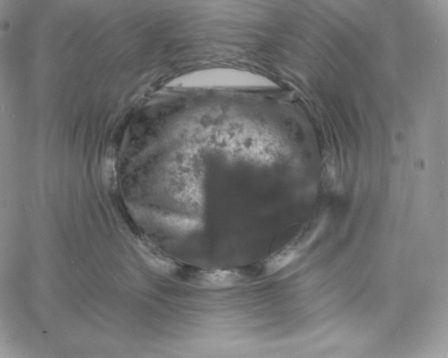 X0000060790527200511241848