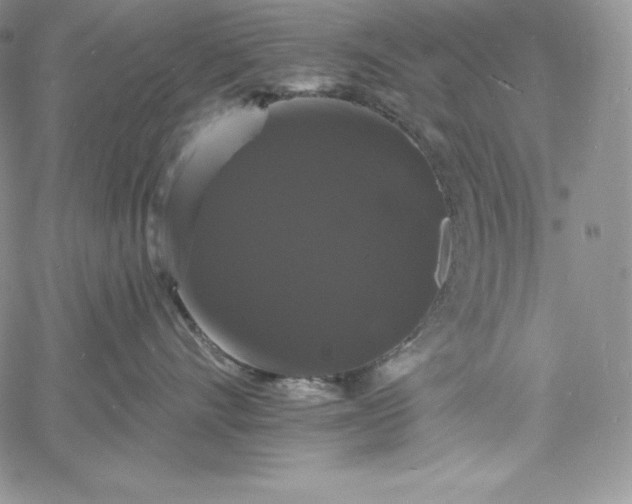 X0000060790528200511241848