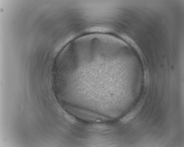 X0000060790529200511241847