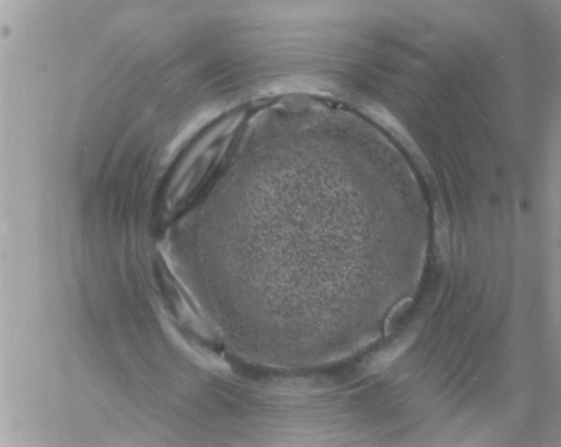 X0000060790530200511241847