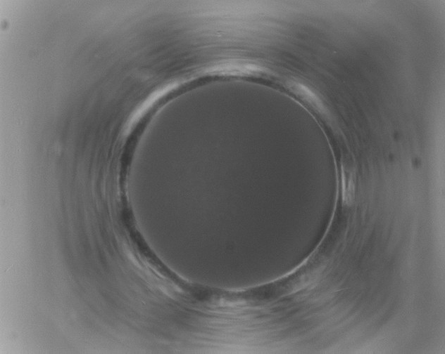 X0000060790531200511241847