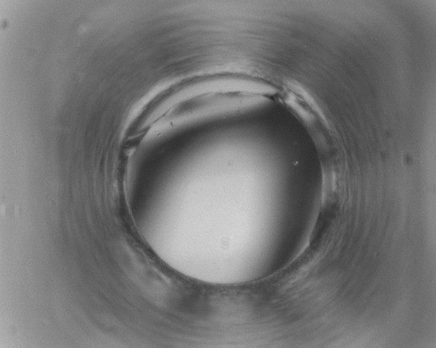 X0000060790532200511241847