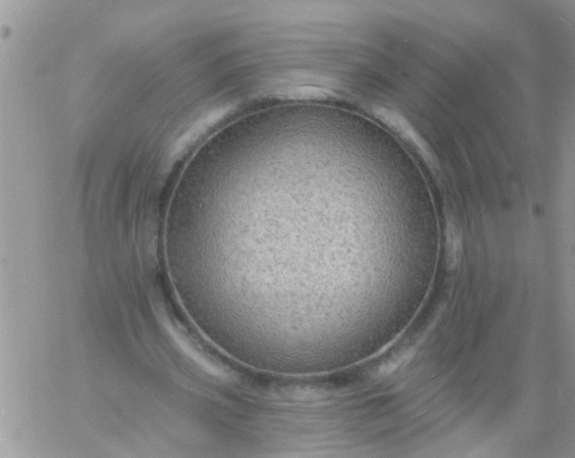 X0000060790533200511241847