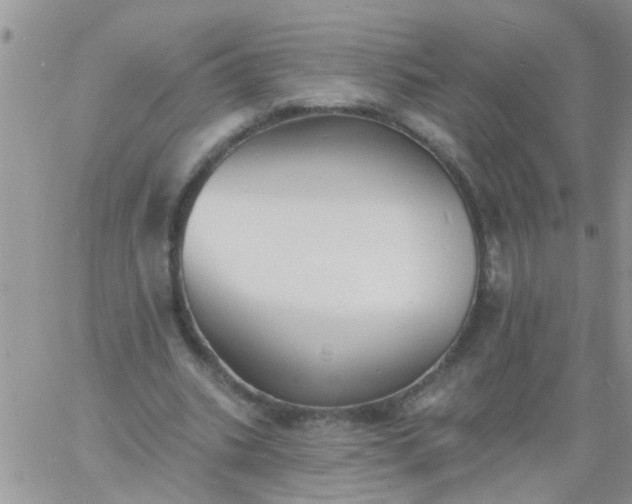 X0000060790535200511241847