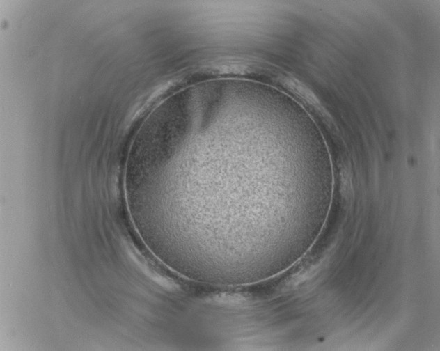 X0000060790537200511241847