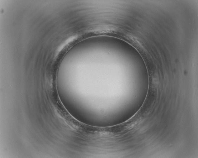 X0000060790539200511241847