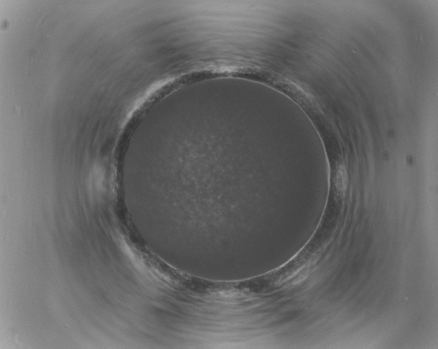 X0000060790540200511241847