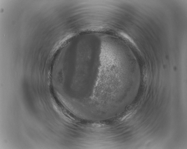 X0000060790542200511241847