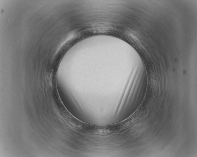 X0000060790543200511241847