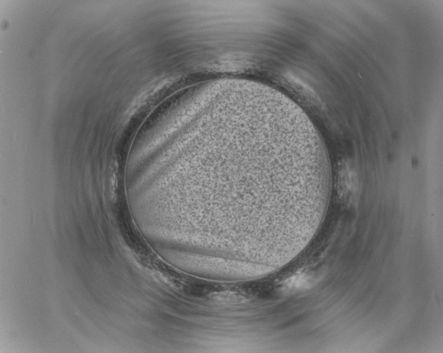 X0000060790544200511241847