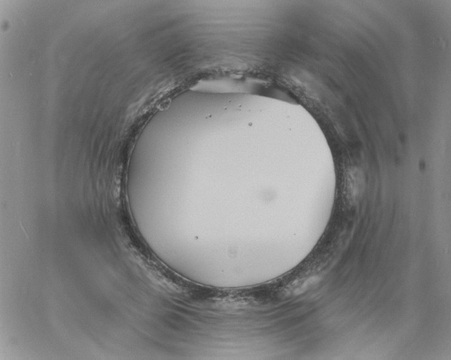 X0000060790545200511241847