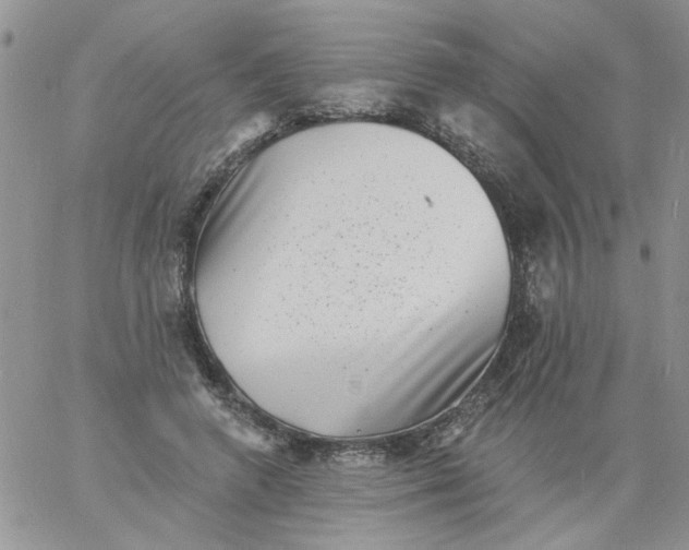 X0000060790546200511241847