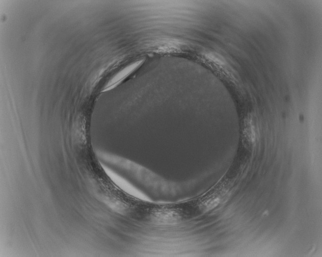 X0000060790547200511241847