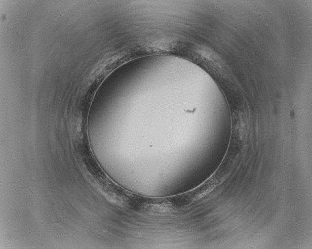 X0000060790548200511241847