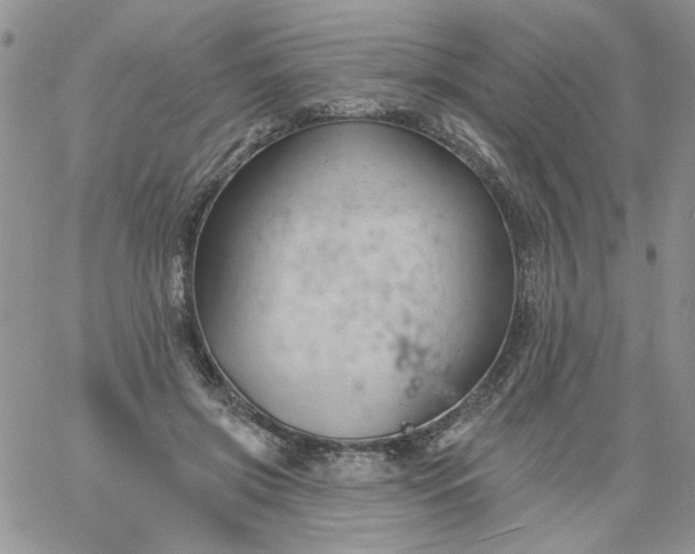 X0000060790549200511241847