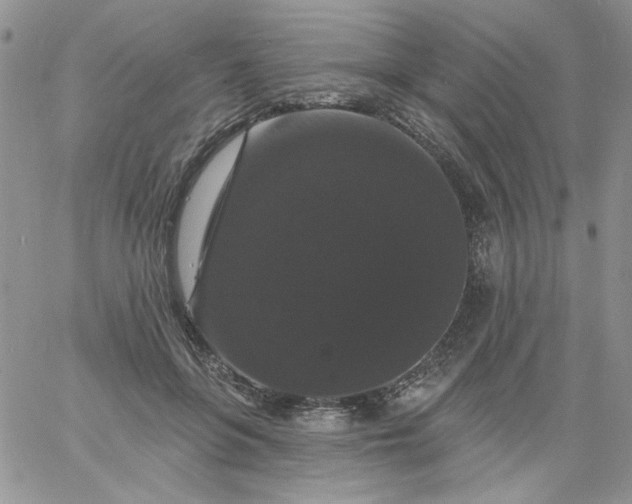 X0000060790551200511241847