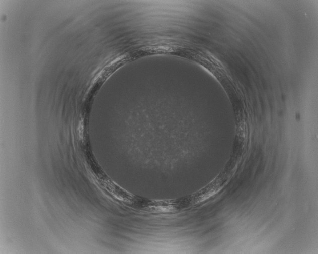 X0000060790552200511241847