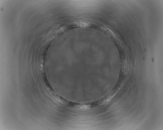 X0000060790553200511241847