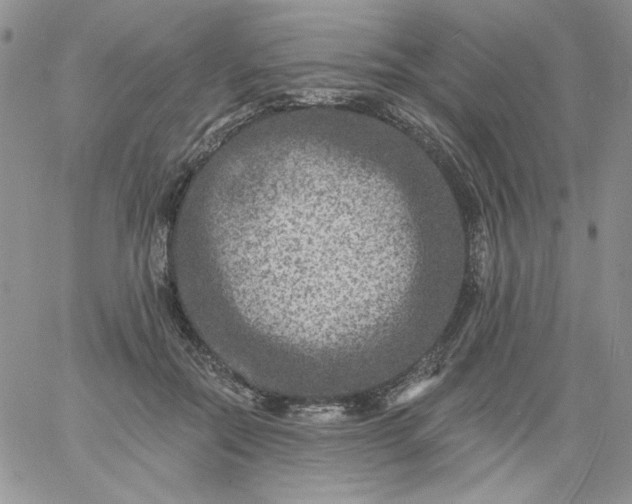 X0000060790554200511241847