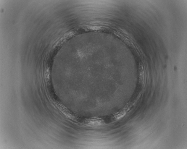 X0000060790555200511241848