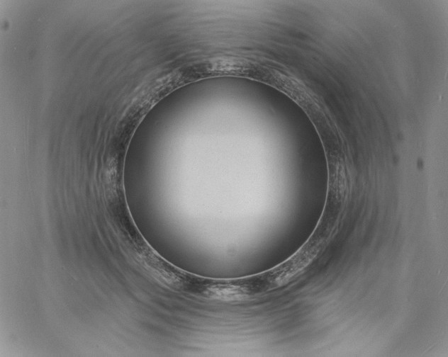 X0000060790557200511241848