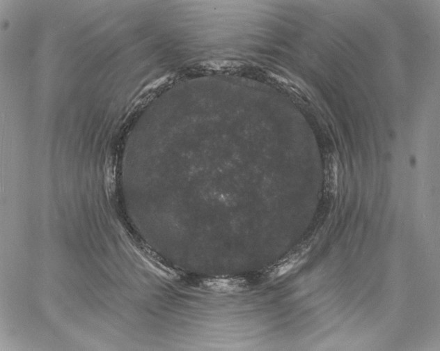 X0000060790558200511241848