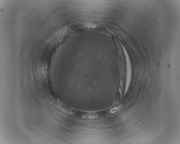 X0000060790559200511241848