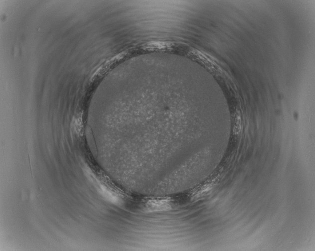 X0000060790560200511241848