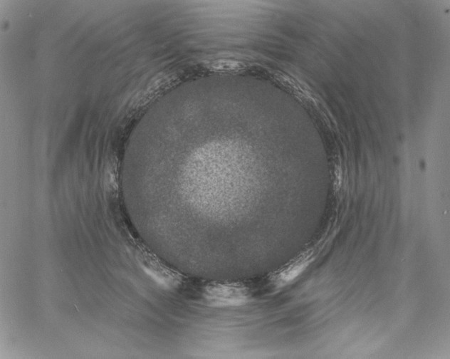 X0000060790561200511241848