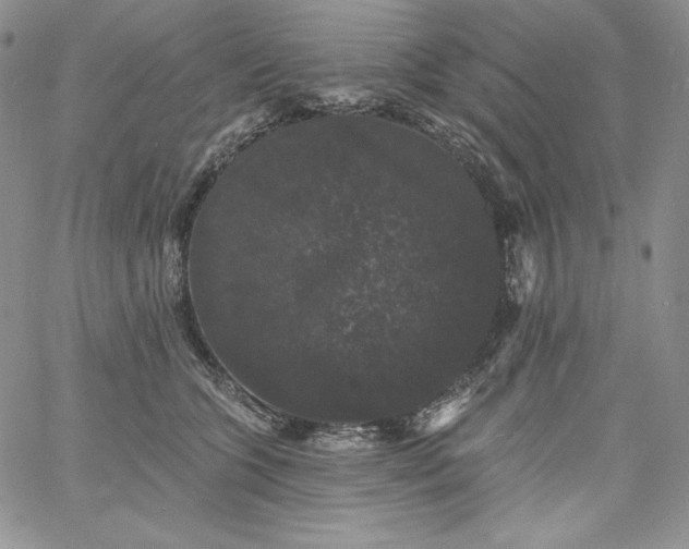 X0000060790563200511241848