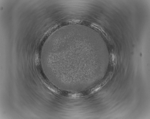 X0000060790564200511241848