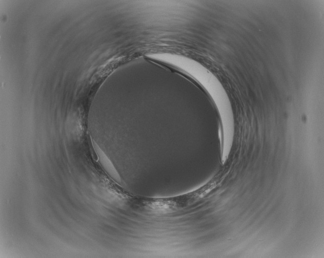 X0000060790566200511241848