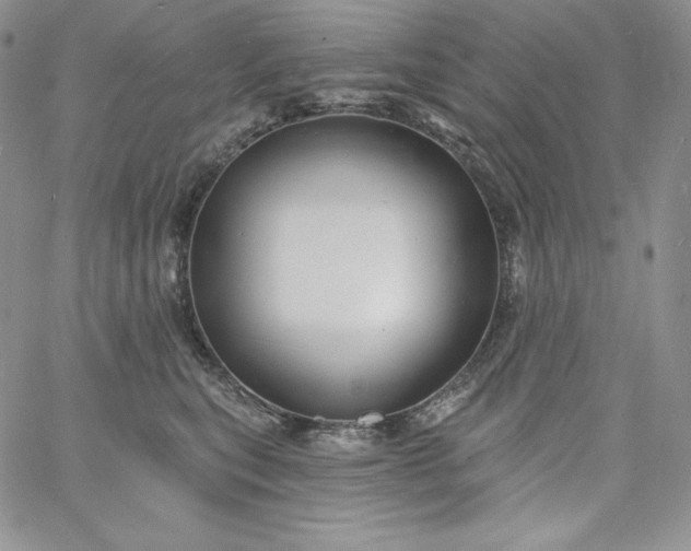 X0000060790567200511241848