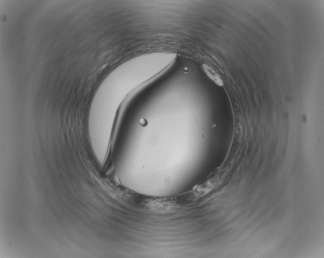 X0000060790568200511241848