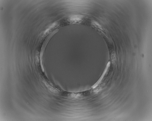 X0000060790570200511241848