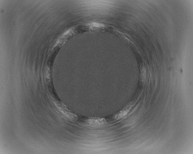 X0000060790571200511241848