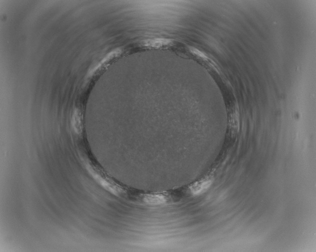 X0000060790572200511241848