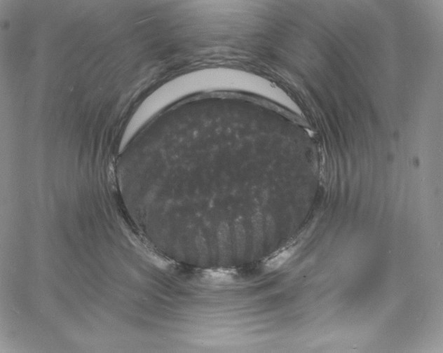 X0000060790573200511241848