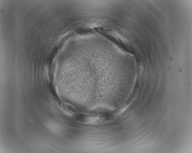 X0000060790575200511241848