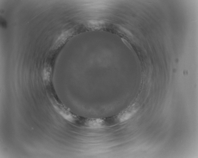 X0000060790576200511241848