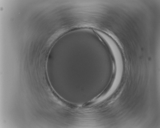 X0000060790577200511241847