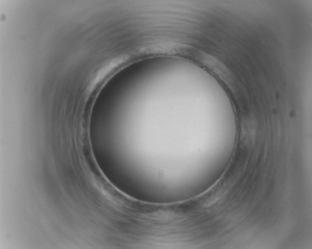 X0000060790578200511241847