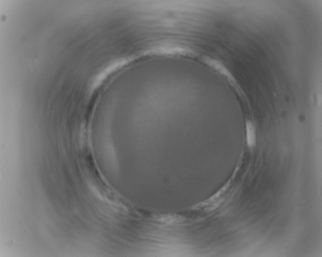 X0000060790579200511241847