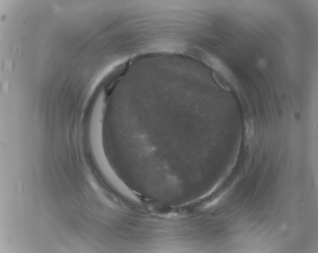 X0000060790580200511241847