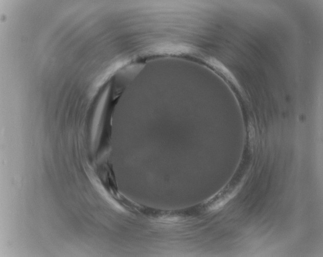 X0000060790581200511241847